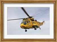 A Westland WS-61 Sea King helicopter of the Royal Air Force Fine Art Print