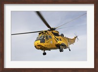 A Westland WS-61 Sea King helicopter of the Royal Air Force Fine Art Print