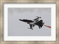 A T-50 Golden Eagle from the Republic of Korea Air Force Aerobatic Team Fine Art Print