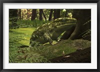 A close-up of a three foot long Ichthyostega from the Late Devonian Period Fine Art Print