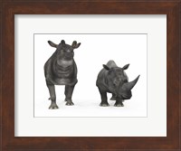 An adult Brontotherium compared to a modern adult White Rhinoceros Fine Art Print