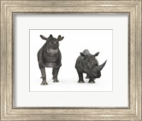 An adult Brontotherium compared to a modern adult White Rhinoceros Fine Art Print