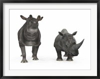 An adult Brontotherium compared to a modern adult White Rhinoceros Fine Art Print