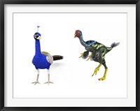 A Caudipteryx compared to a modern adult peacock Fine Art Print