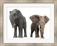 An adult Deinotherium compared to a modern adult African Elephant Fine Art Print