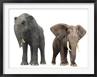 An adult Deinotherium compared to a modern adult African Elephant Fine Art Print