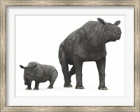 An adult Paraceratherium compared to a modern adult White Rhinoceros Fine Art Print