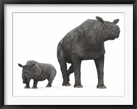 An adult Paraceratherium compared to a modern adult White Rhinoceros Fine Art Print