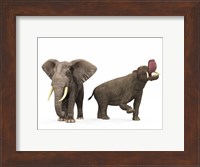 An adult Platybelodon compared to a modern adult African Elephant Fine Art Print
