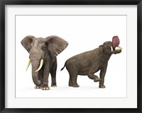 An adult Platybelodon compared to a modern adult African Elephant Fine Art Print