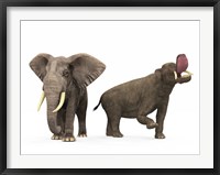 An adult Platybelodon compared to a modern adult African Elephant Fine Art Print