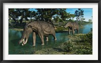 A pair of Platybelodon grazing in a shallow stream Fine Art Print
