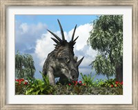 A Styracosaurus samples flowers of the order Ericales Fine Art Print