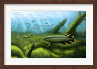 Holoptychius, Tulerpeton and Moythomasia, prehistoric fish of the Devonian period Fine Art Print