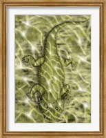 Lanthanosuchus, an extinct genus of parareptile Fine Art Print