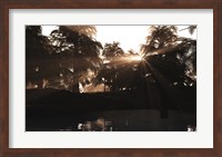 A Late Devonian sun sets behind a forest of Archaeopteris plants Fine Art Print