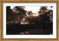 A Late Devonian sun sets behind a forest of Archaeopteris plants Fine Art Print