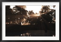 A Late Devonian sun sets behind a forest of Archaeopteris plants Fine Art Print