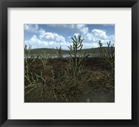 Prehistoric landscape of Silu-Devonian land plants with branching axes Fine Art Print