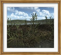 Prehistoric landscape of Silu-Devonian land plants with branching axes Fine Art Print