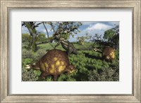Prehistoric glyptodonts graze on grassy plains An Eremotherium is in the background Fine Art Print
