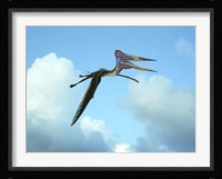Zhejiangopterus, a genus of azhdarchid pterosaur Framed Print