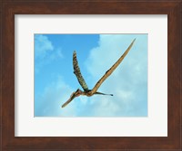 Zhenyuanopterus, a genus of pterosaur from the Cretaceous Period Fine Art Print