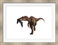 A Baryonyx dinosaur with a fish in mouth, white background Fine Art Print