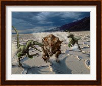 Velociraptors chase a Bagaceratops in a prehistoric desert Fine Art Print