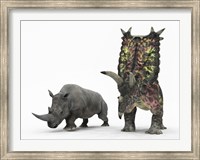 An adult Pentaceratops compared to a modern adult White Rhinoceros Fine Art Print