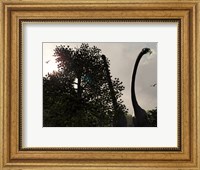A pair of Sauroposeidon feed on the leaves of an American Sycamore Fine Art Print