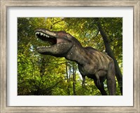 A Tyrannosaurus wanders a Cretaceous forest Fine Art Print