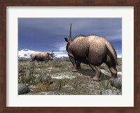 A pair of male Elasmotherium confront one another Fine Art Print