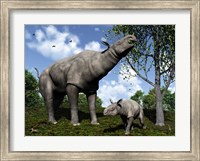 A Paraceratherium mother grazes on leaves and twigs of a poplar tree Fine Art Print