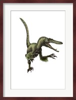 Velociraptor, white background Fine Art Print