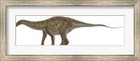 Apatosaurus, a Sauropod Dinosaur also known as Brontosaurus Fine Art Print