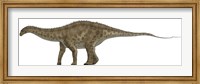 Apatosaurus, a Sauropod Dinosaur also known as Brontosaurus Fine Art Print