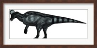 Corythosaurus, a Large Hadrosaurid Dinosaur Fine Art Print