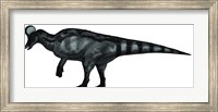 Corythosaurus, a Large Hadrosaurid Dinosaur Fine Art Print