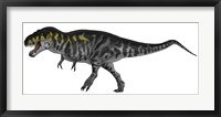 Tyrannosaurus Rex, a Large Predator of the Cretaceous Period Fine Art Print