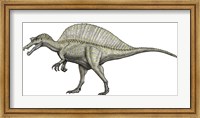 An Albino Spinosaurus Fine Art Print