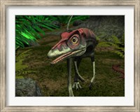 A Compsognathus wanders a Late Jurassic Forest Fine Art Print