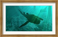 An Armored Bothriolepis Glides Along the Bottom of a Flooded Plain Fine Art Print