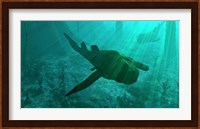 An Armored Bothriolepis Glides Along the Bottom of a Flooded Plain Fine Art Print