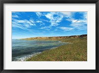 Thousands of Individual Aglaophyton Populate an  Early Devonian Bay Fine Art Print
