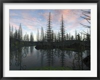 A Forest of Calamites and Asteroxylon 390 Million Years Ago Fine Art Print