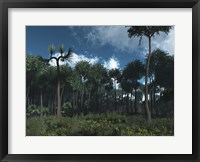 A Carboniferous Forest of Midwestern North America 350 million years ago Fine Art Print
