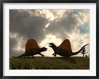 Dimetrodon Fight Over Territory Fine Art Print