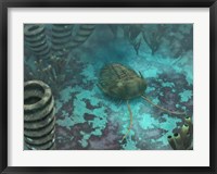 An Olenoides Trilobite Scurries across a Middle Cambrian Ocean Floor Fine Art Print