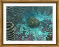 An Olenoides Trilobite Scurries across a Middle Cambrian Ocean Floor Fine Art Print